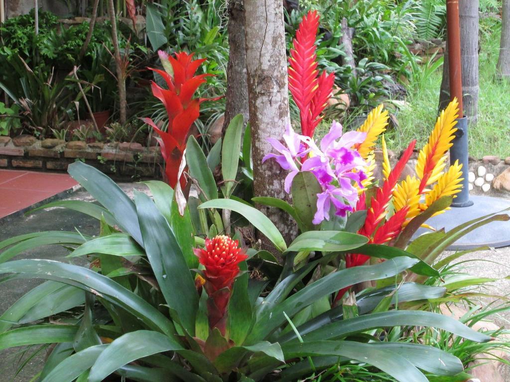 Happiness Resort Sukhothaï Extérieur photo