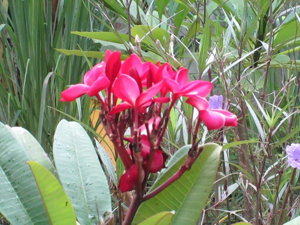 Happiness Resort Sukhothaï Extérieur photo