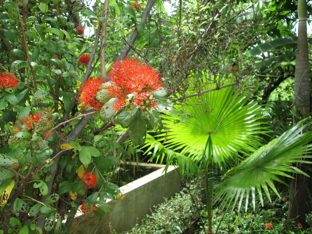 Happiness Resort Sukhothaï Extérieur photo